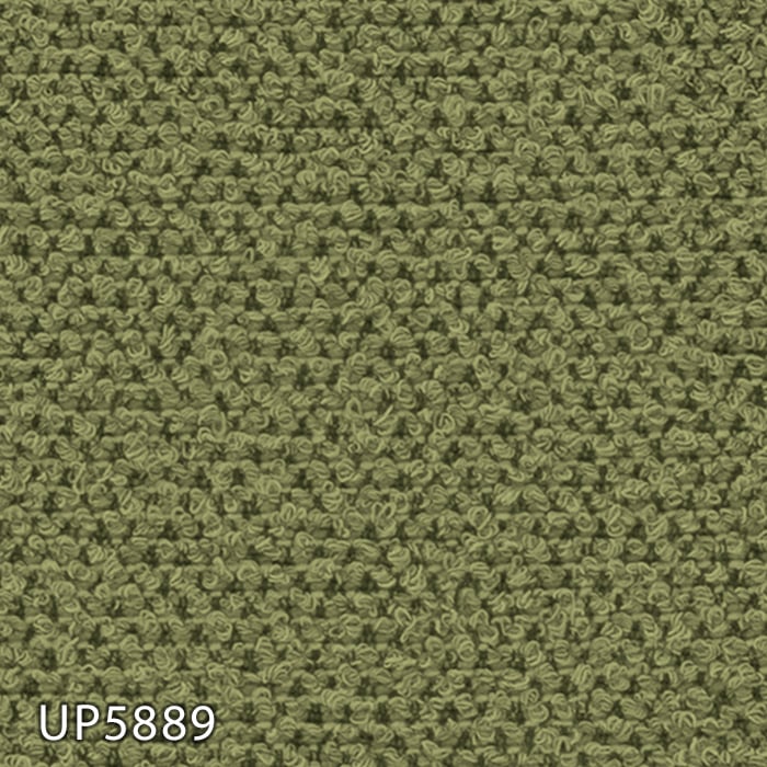 UP5889