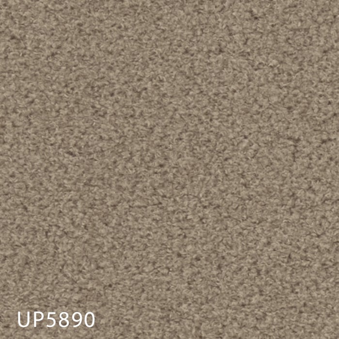 color chip