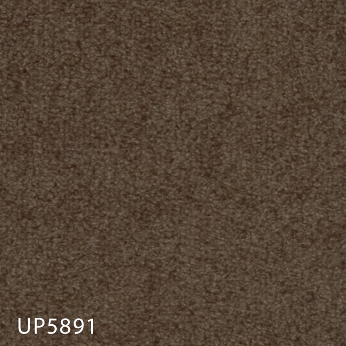 color chip