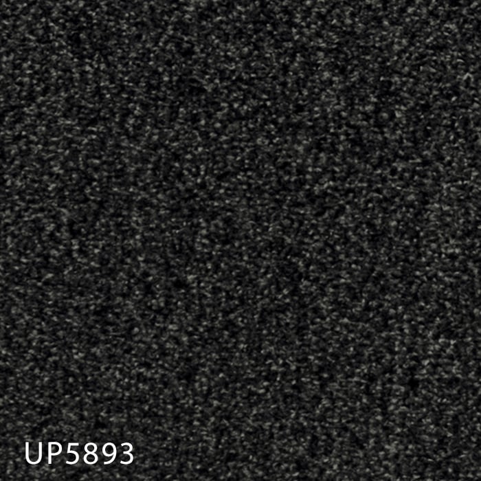 color chip