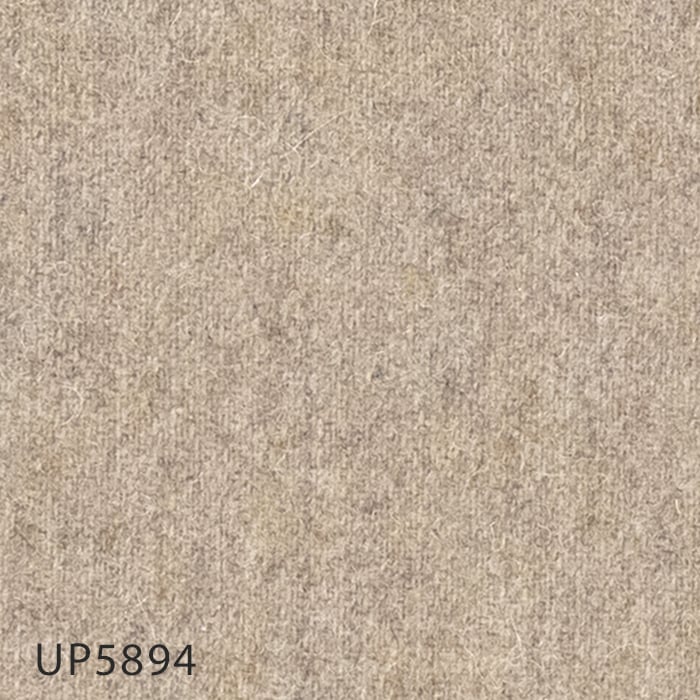 UP5894