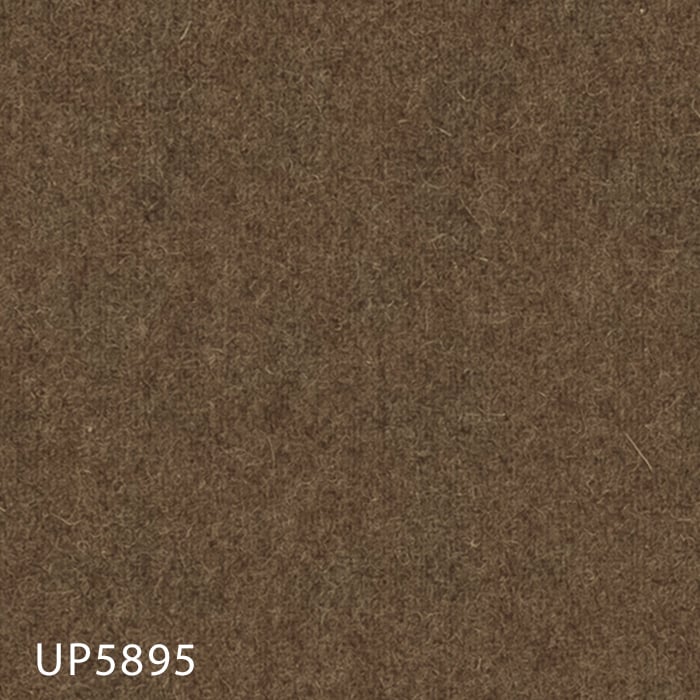 UP5895