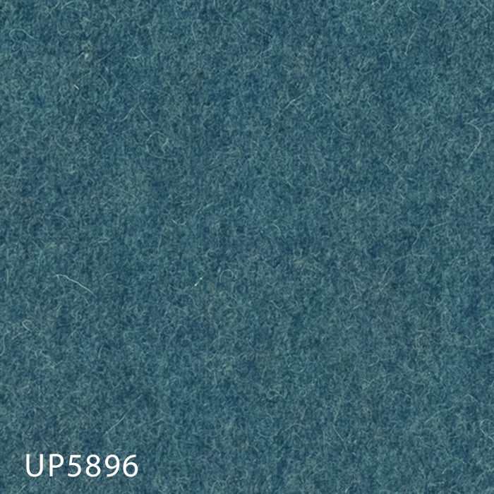 UP5896