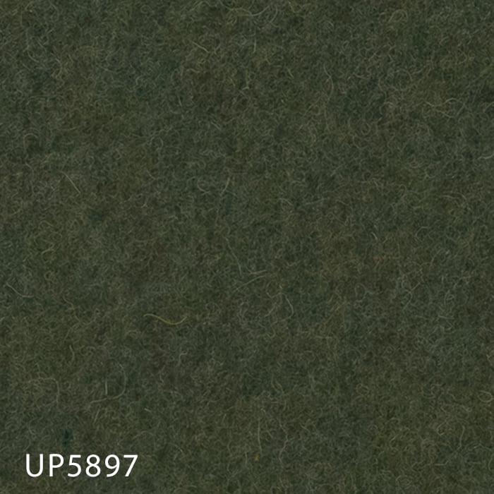 UP5897