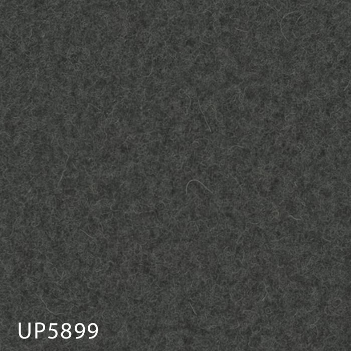 UP5899