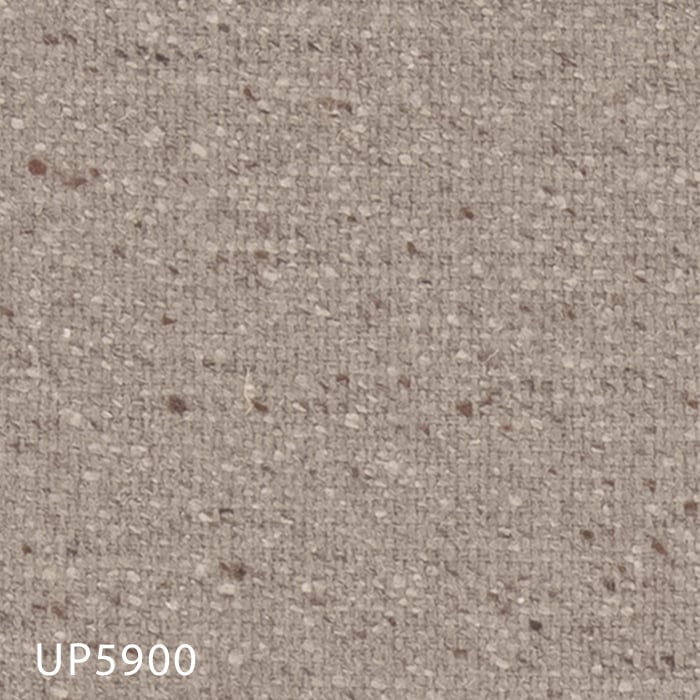 UP5900
