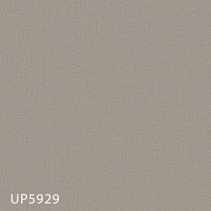 UP5929