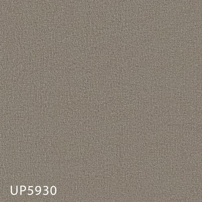 UP5930