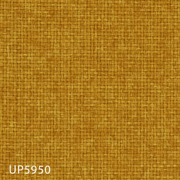 color chip