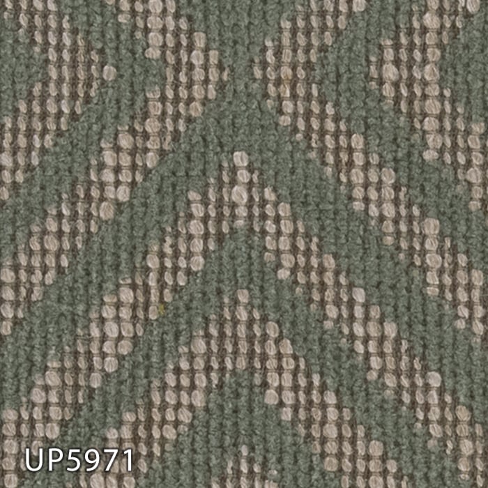 UP5971