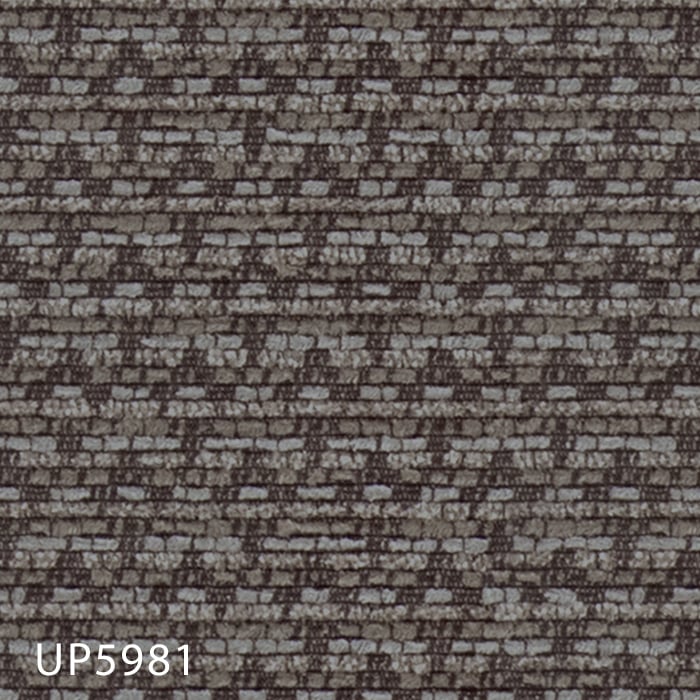 color chip