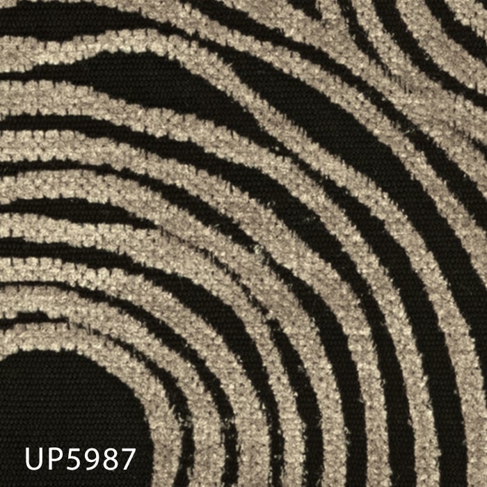 UP5987