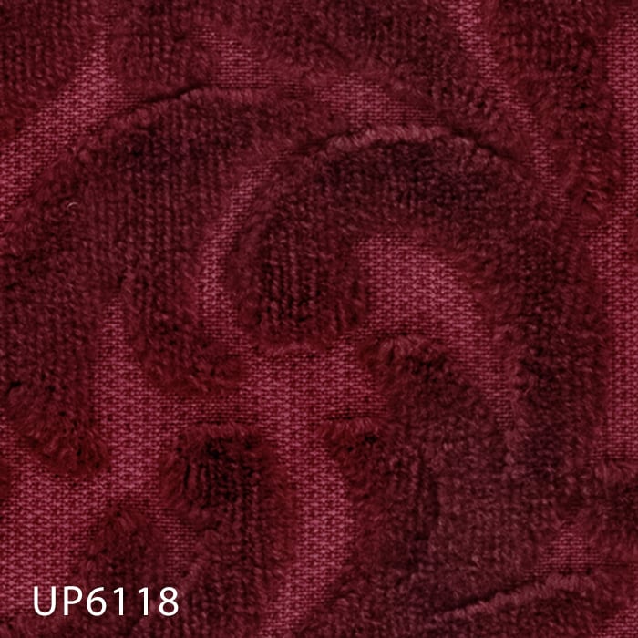 UP6118