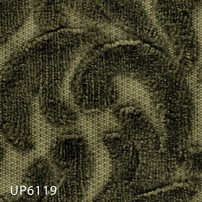 UP6119