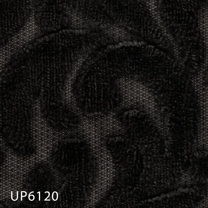 UP6120