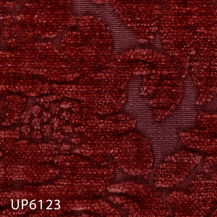 UP6123