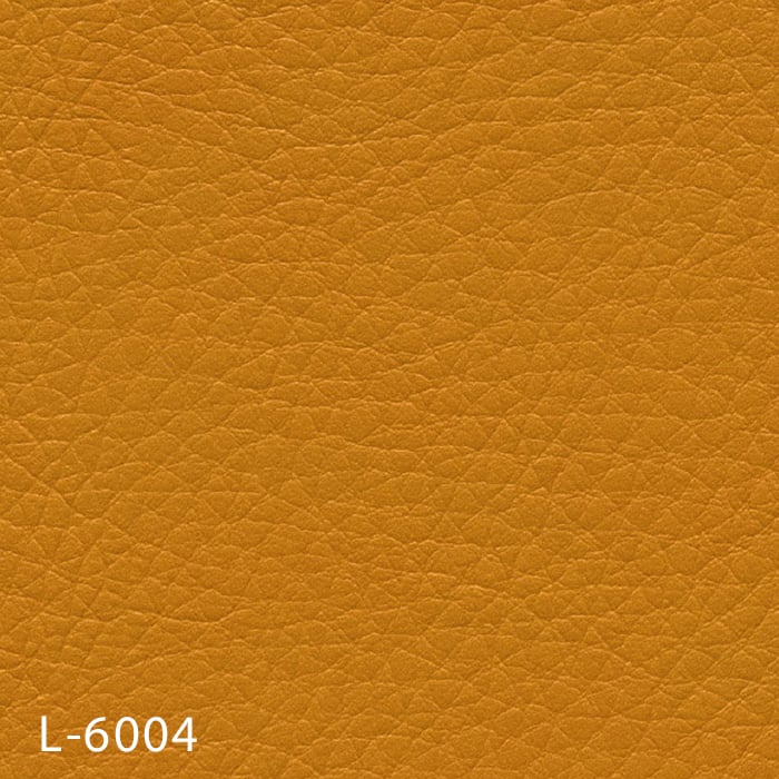 color chip