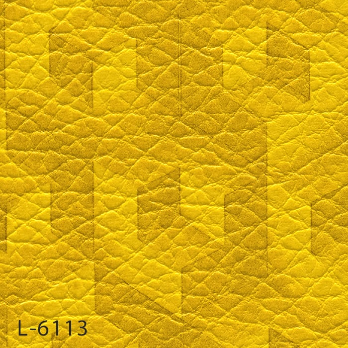 color chip