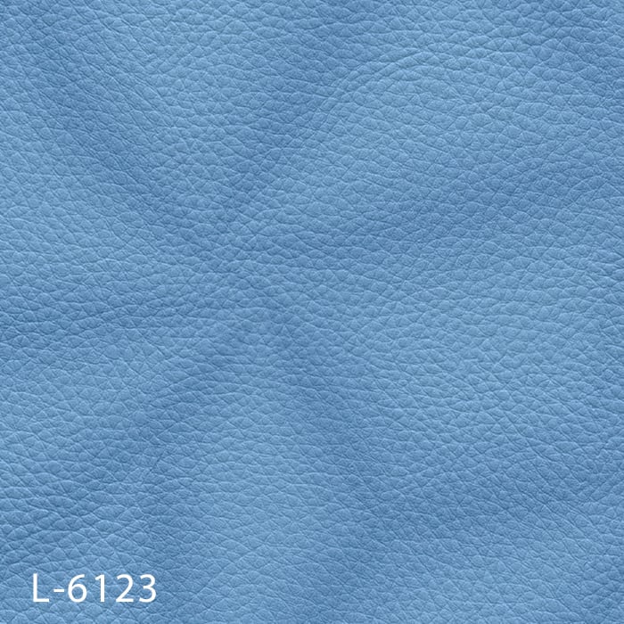 color chip