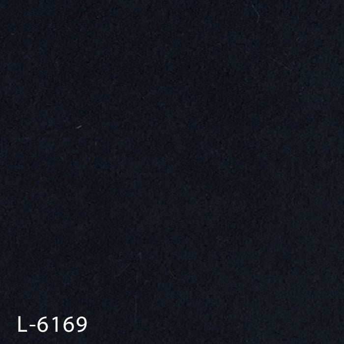 L-6169