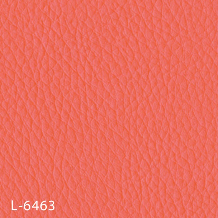 color chip