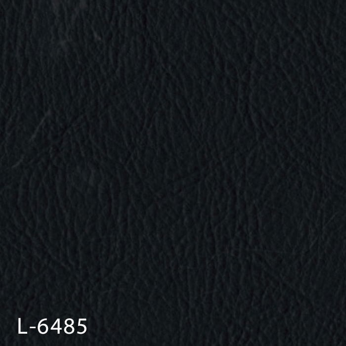 color chip