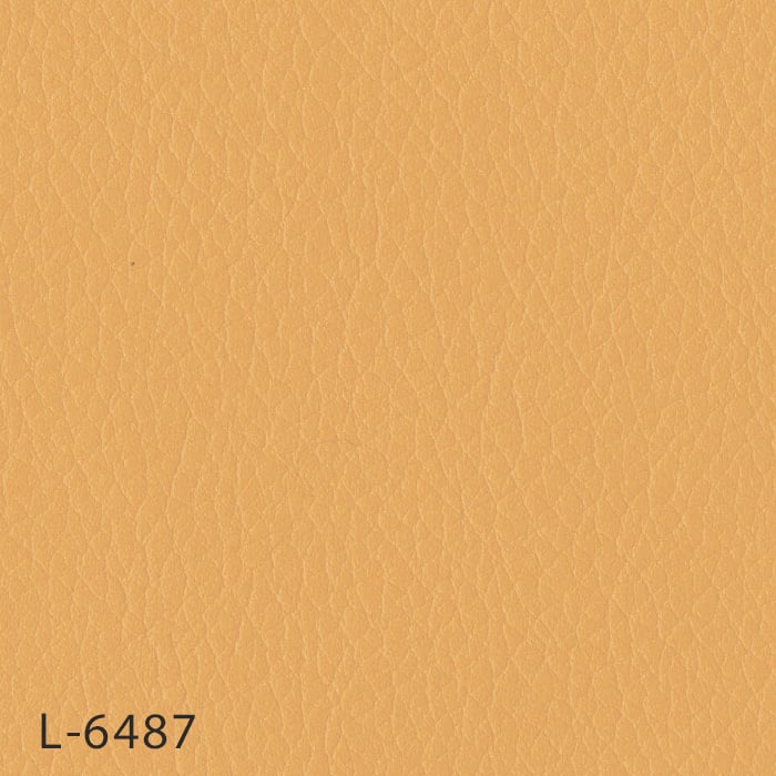 color chip