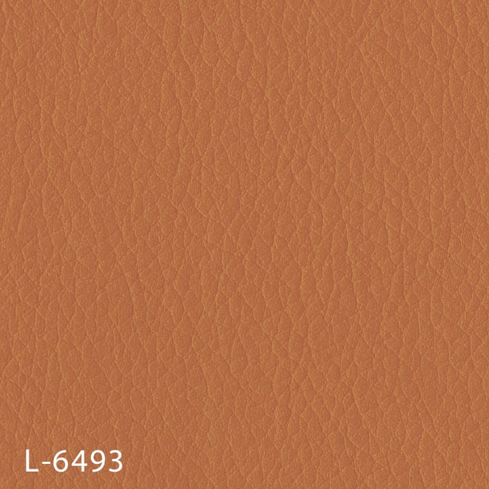 color chip