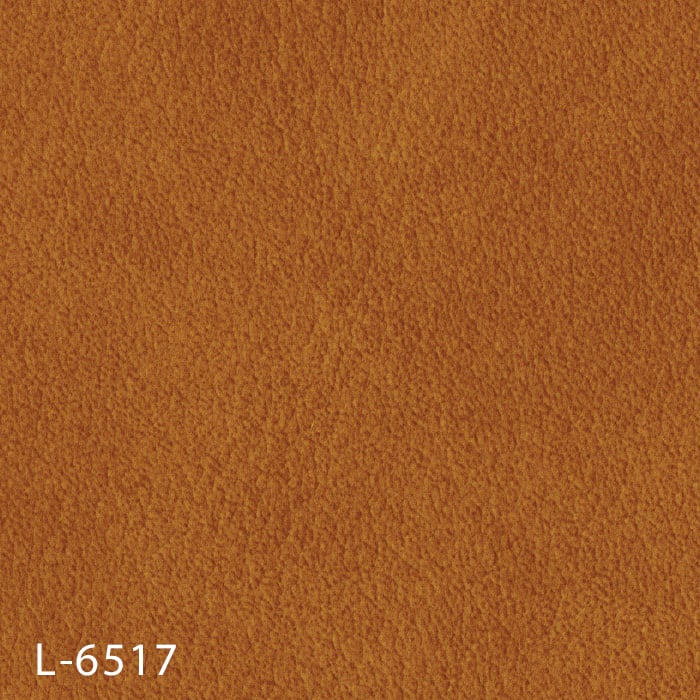 color chip