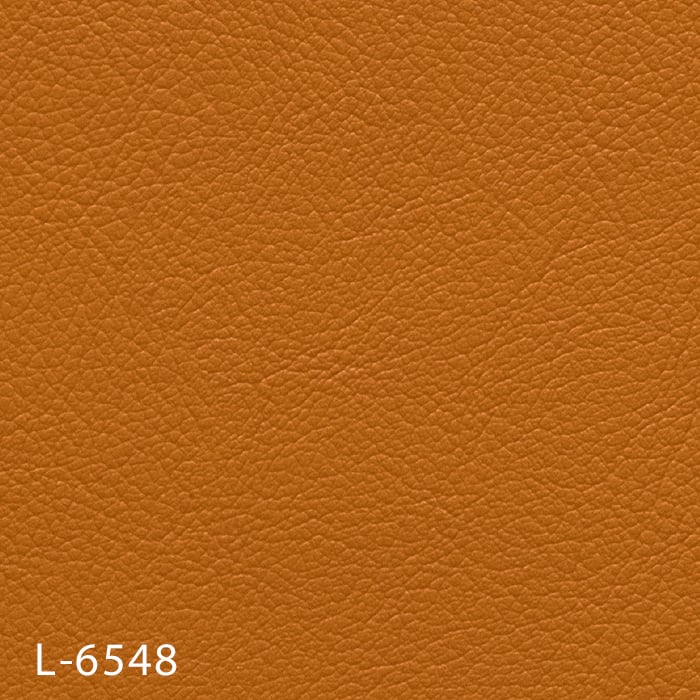 color chip