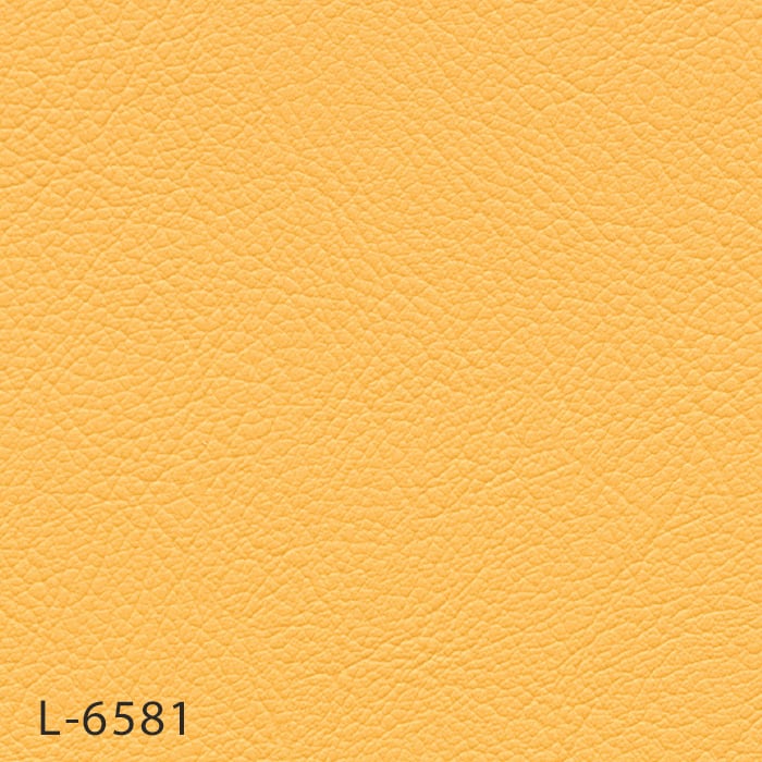color chip