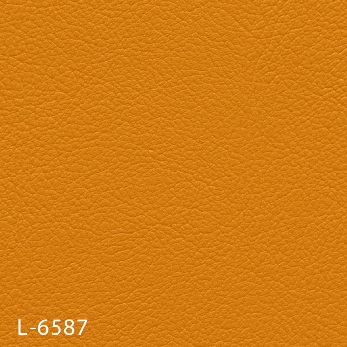 color chip