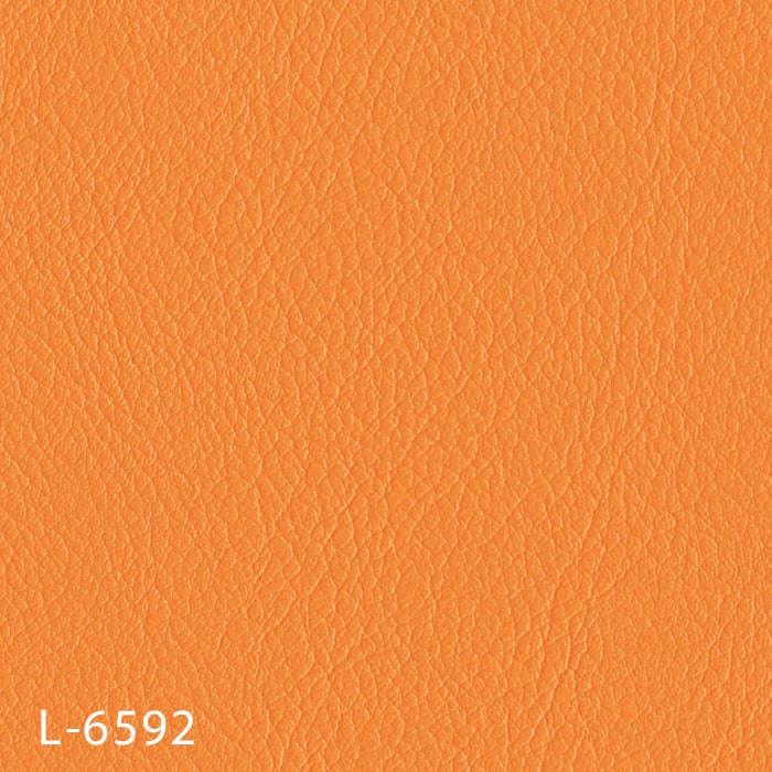 color chip