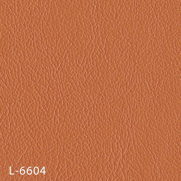 color chip