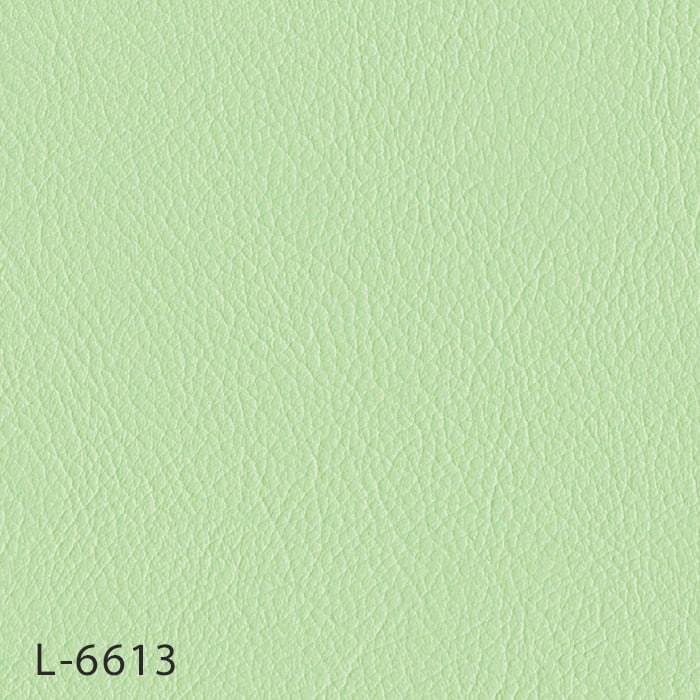 L-6613