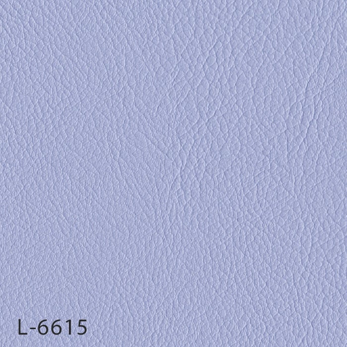 color chip