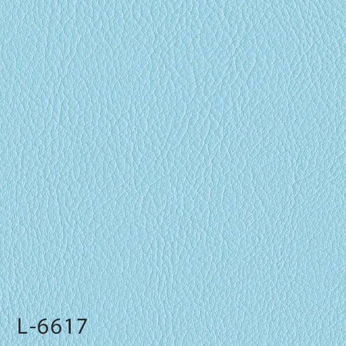 color chip