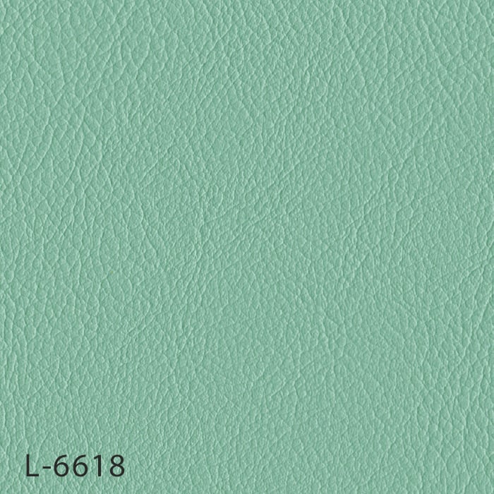 color chip