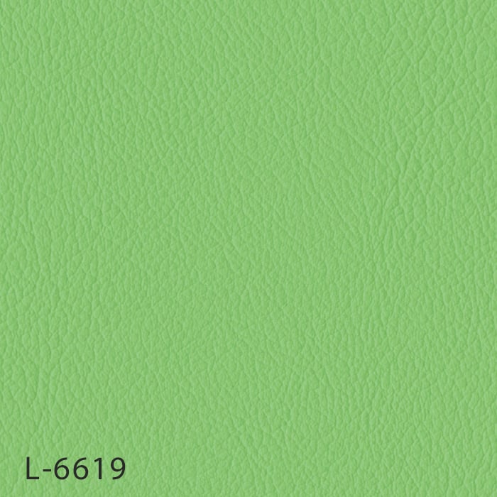 L-6619