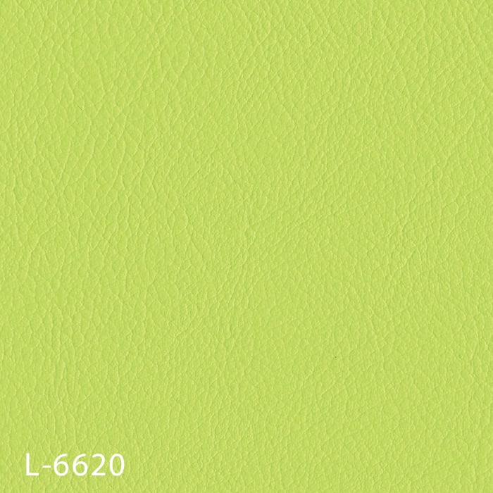 L-6620