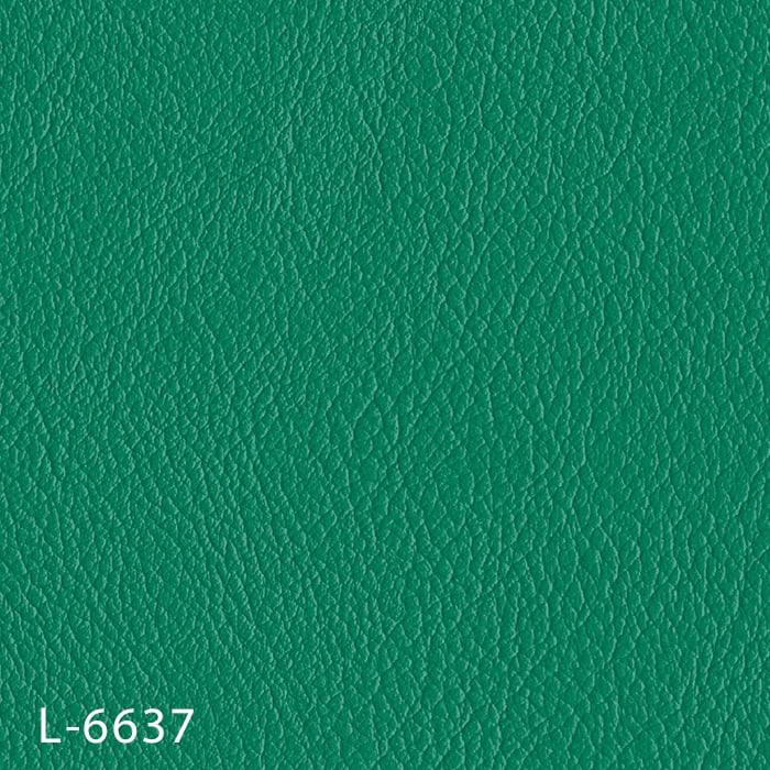 L-6637