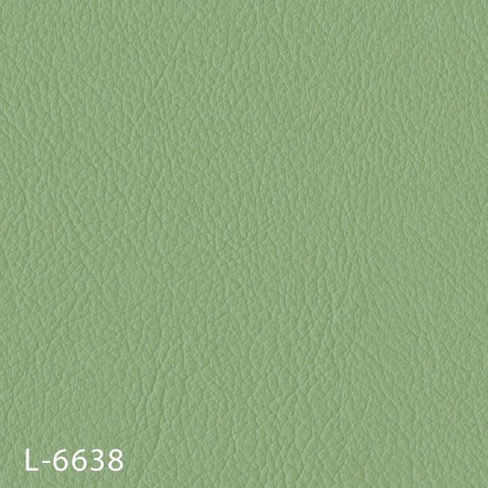 L-6638
