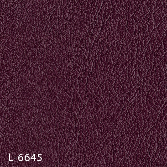 L-6645
