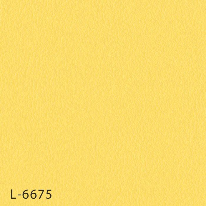 L-6675