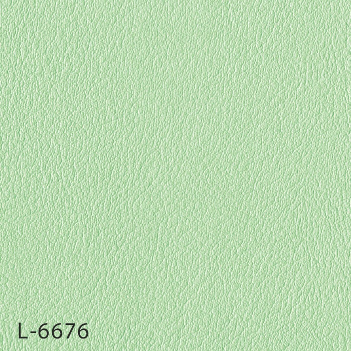 L-6676