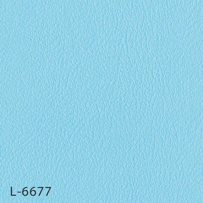 L-6677