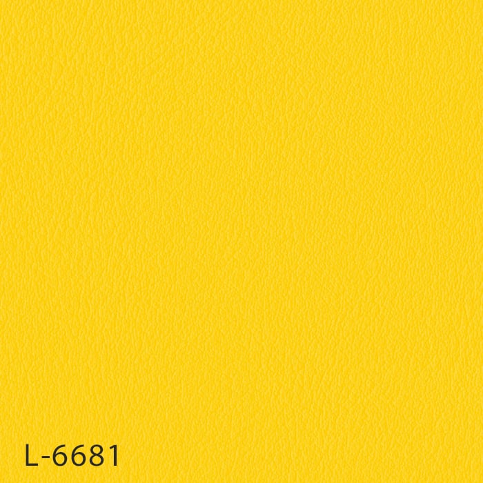 L-6681