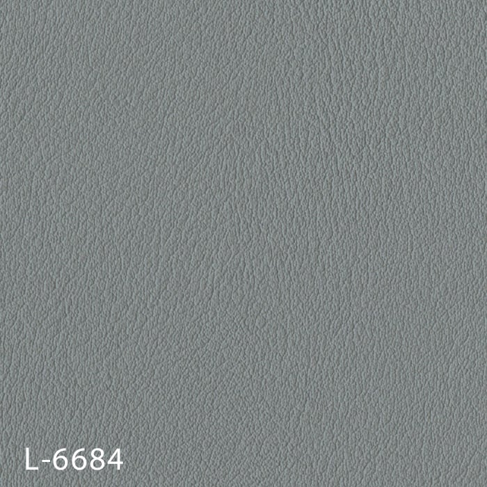 L-6684