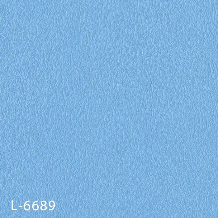 L-6689