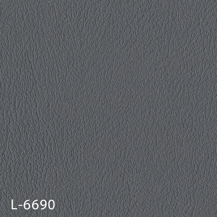 L-6690